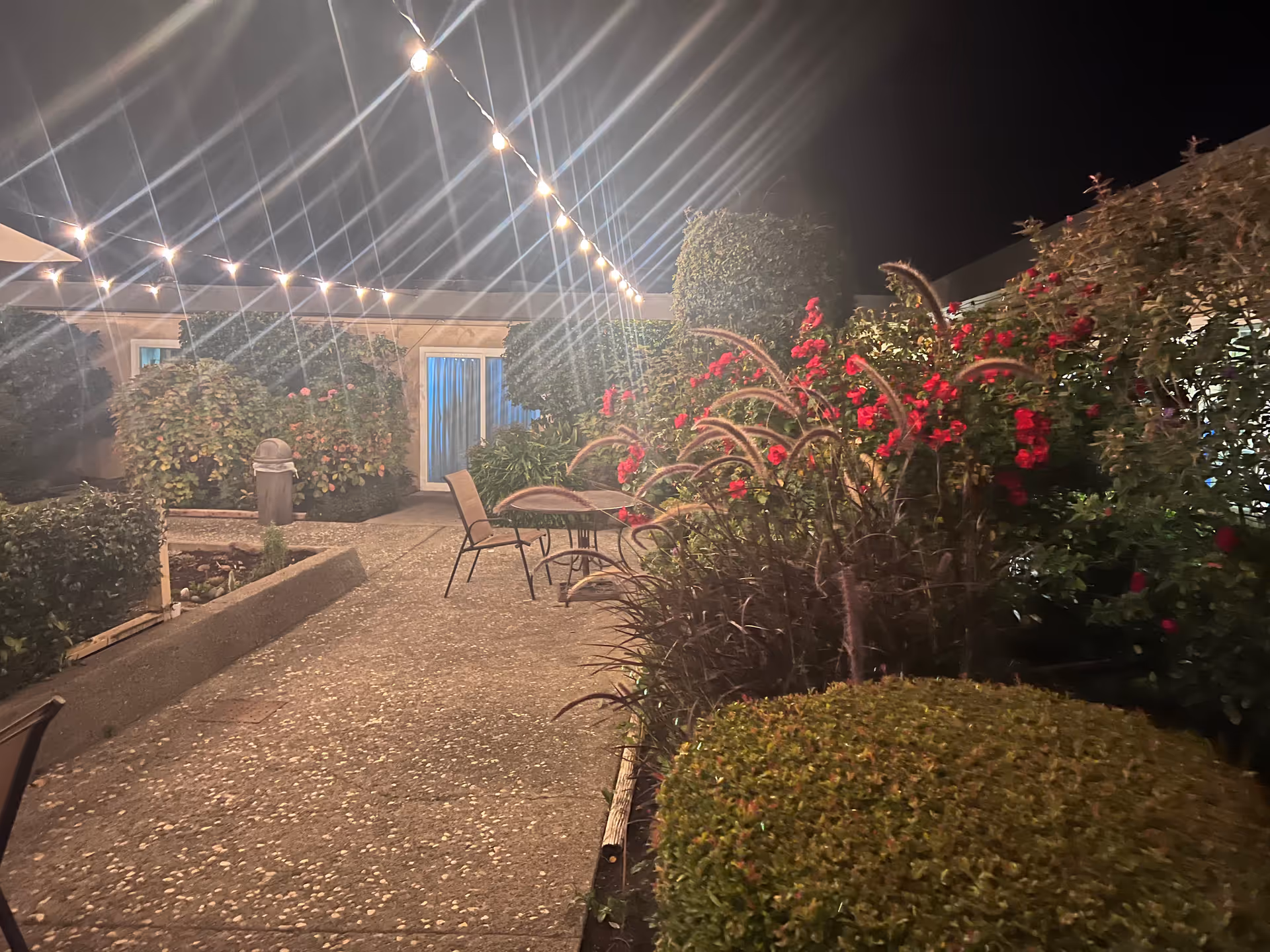 Nighttime outdoor courtyard with string lights, a patio table and chairs among flowering bushes.
