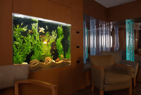 Built-in aquarium with green plants and fish in a wood-paneled lounge area with upholstered chairs.