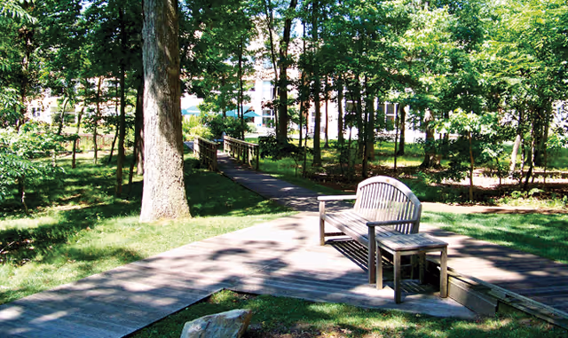 A peaceful outdoor area with a wooden bench and small table on a wooden deck surrounded by green grass and tall trees. A pathway extends into the background leading towards a building partially visible through the trees.