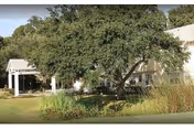 A single-story building with white exterior, large tree, and landscaped front yard.