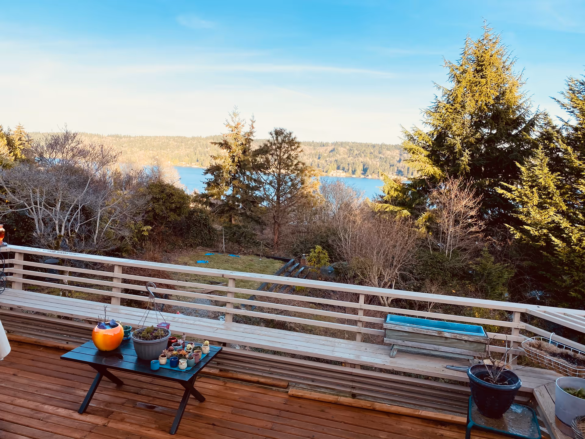 Outdoor deck with railing, potted plants, and a view of trees and a distant lake.