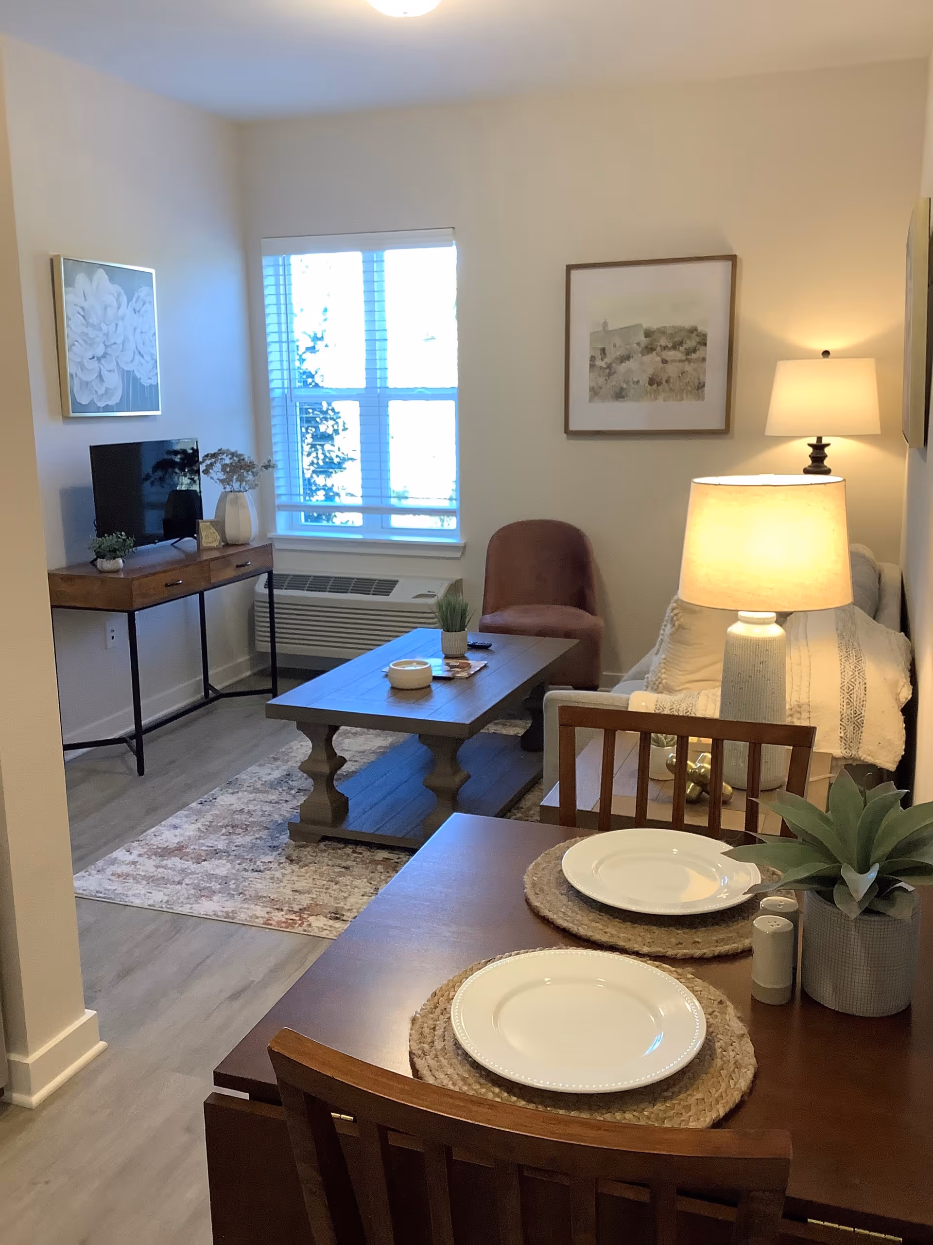 Cozy senior apartment living area with dining table, sofa, TV, plants, and soft lighting.