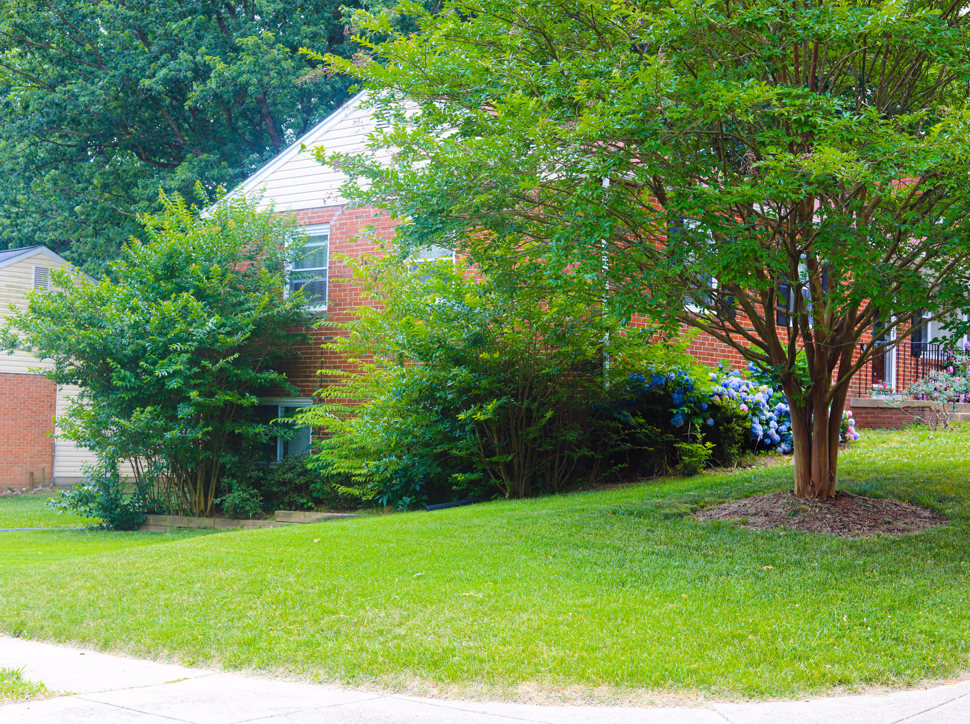 Brick senior living facility exterior with green lawn, trees, and blooming shrubs.