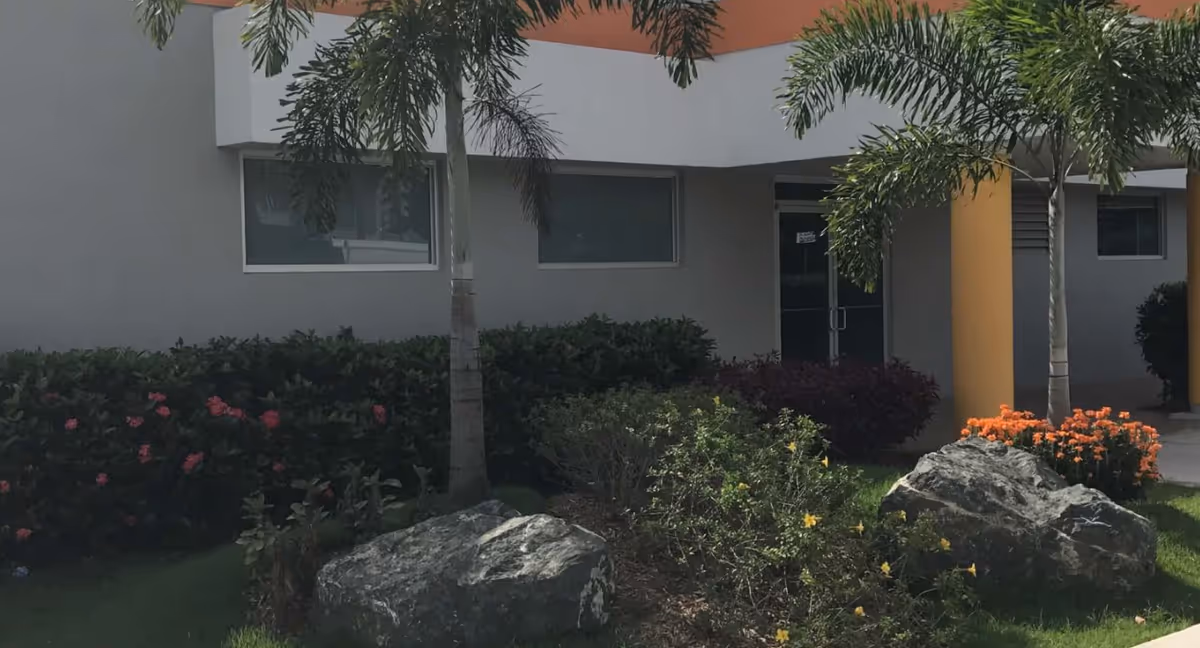 Livindi facility entrance with glass door, palm trees, and manicured landscaping.