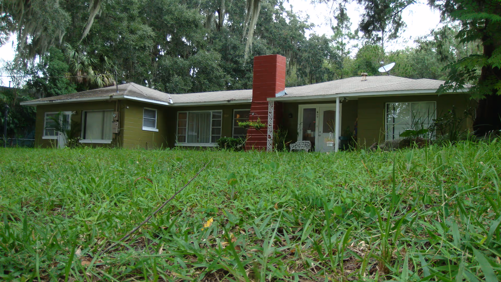 Single-story green residential building with a red chimney, surrounded by tall grass and trees in the background.