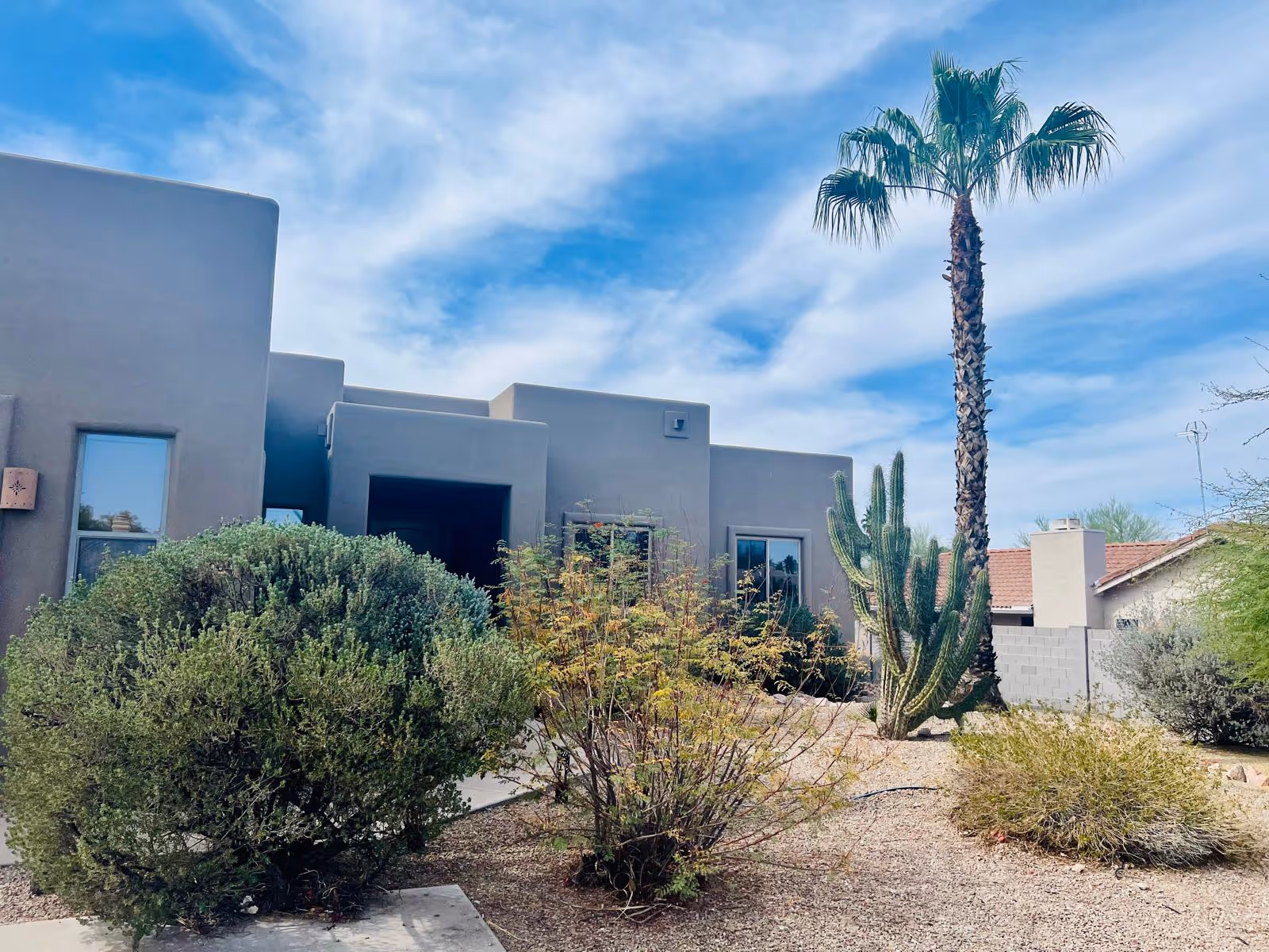 Modern gray stucco assisted living building with desert landscaping, a palm tree, and blue sky.