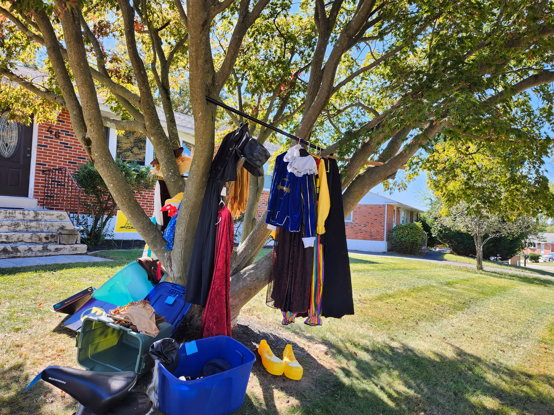 Clothes and costumes hang from a clothesline around a tree in a residential yard.