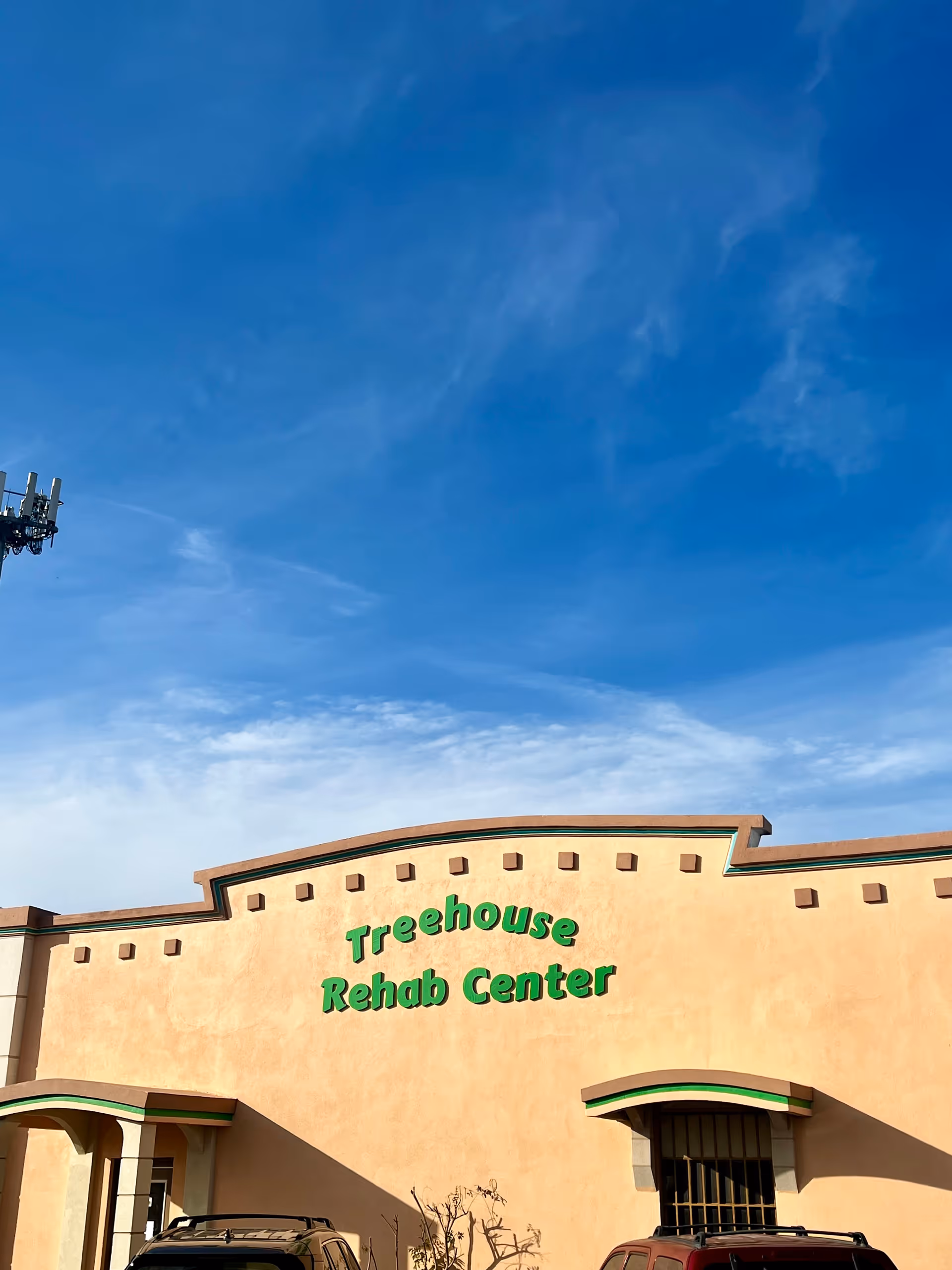 Exterior view of Treehouse Rehab Center sign on tan building with blue sky.