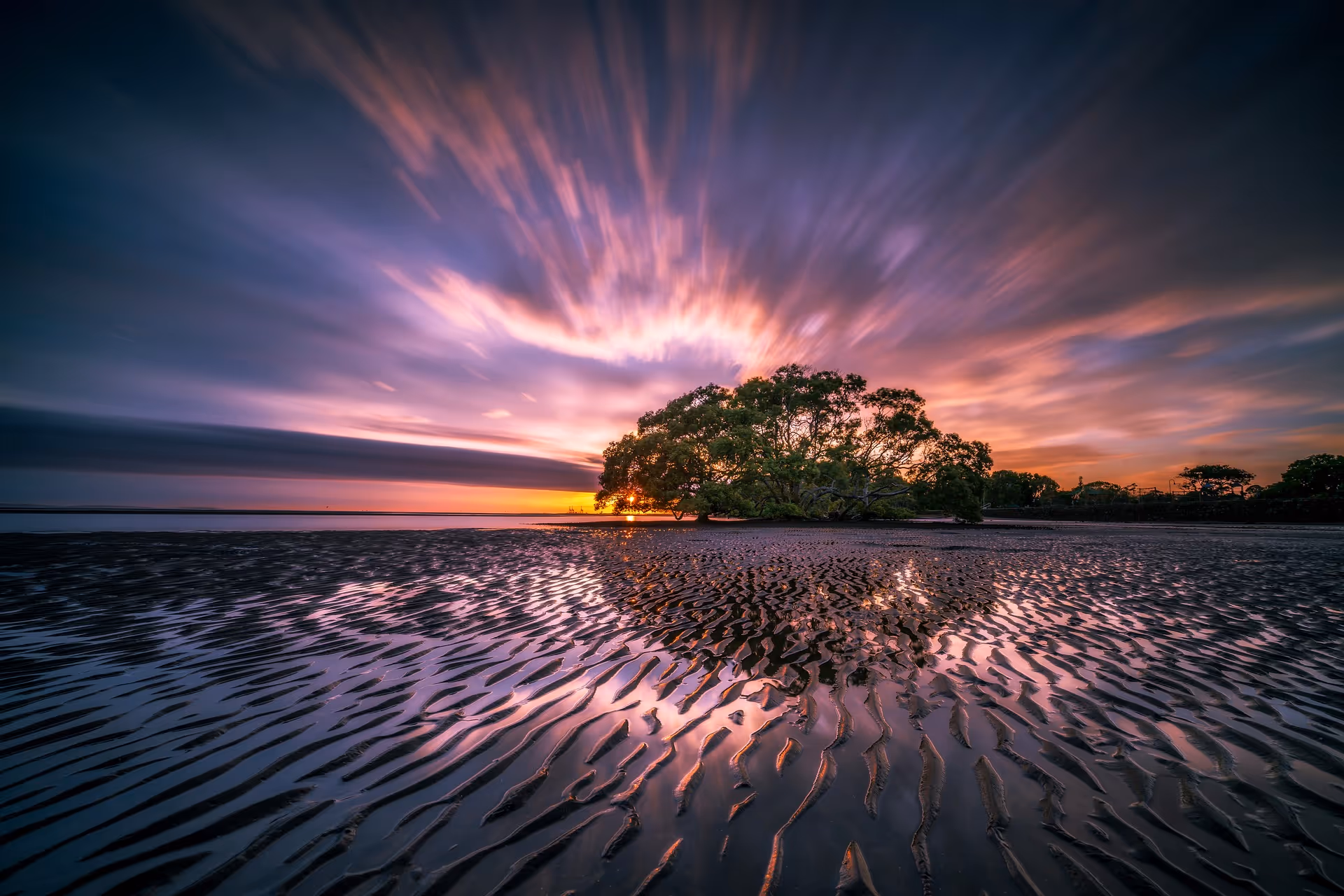 Sunset over a tree on a sandy shore with rippled water.