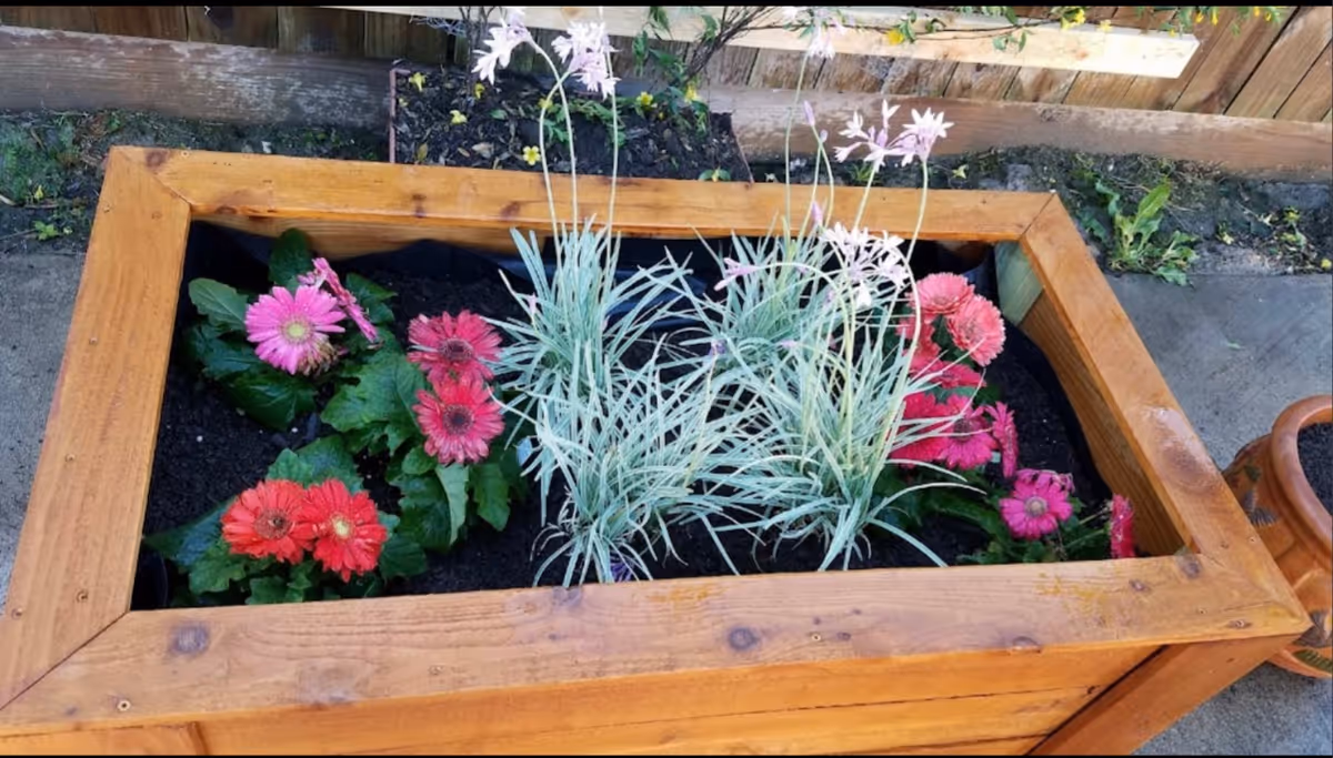 A wooden rectangular planter box filled with soil, containing pink and red flowers along with some tall, thin green plants. The planter is placed outdoors on a concrete surface with a wooden fence and some greenery in the background.