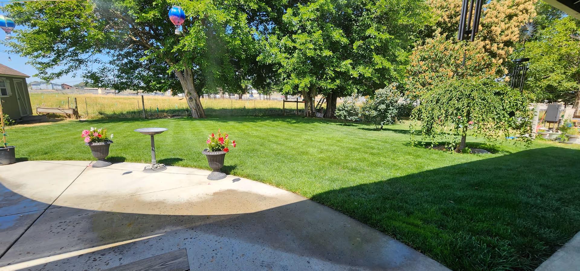 Sunny backyard with a concrete patio, flower pots, birdbath, and a lush green lawn.