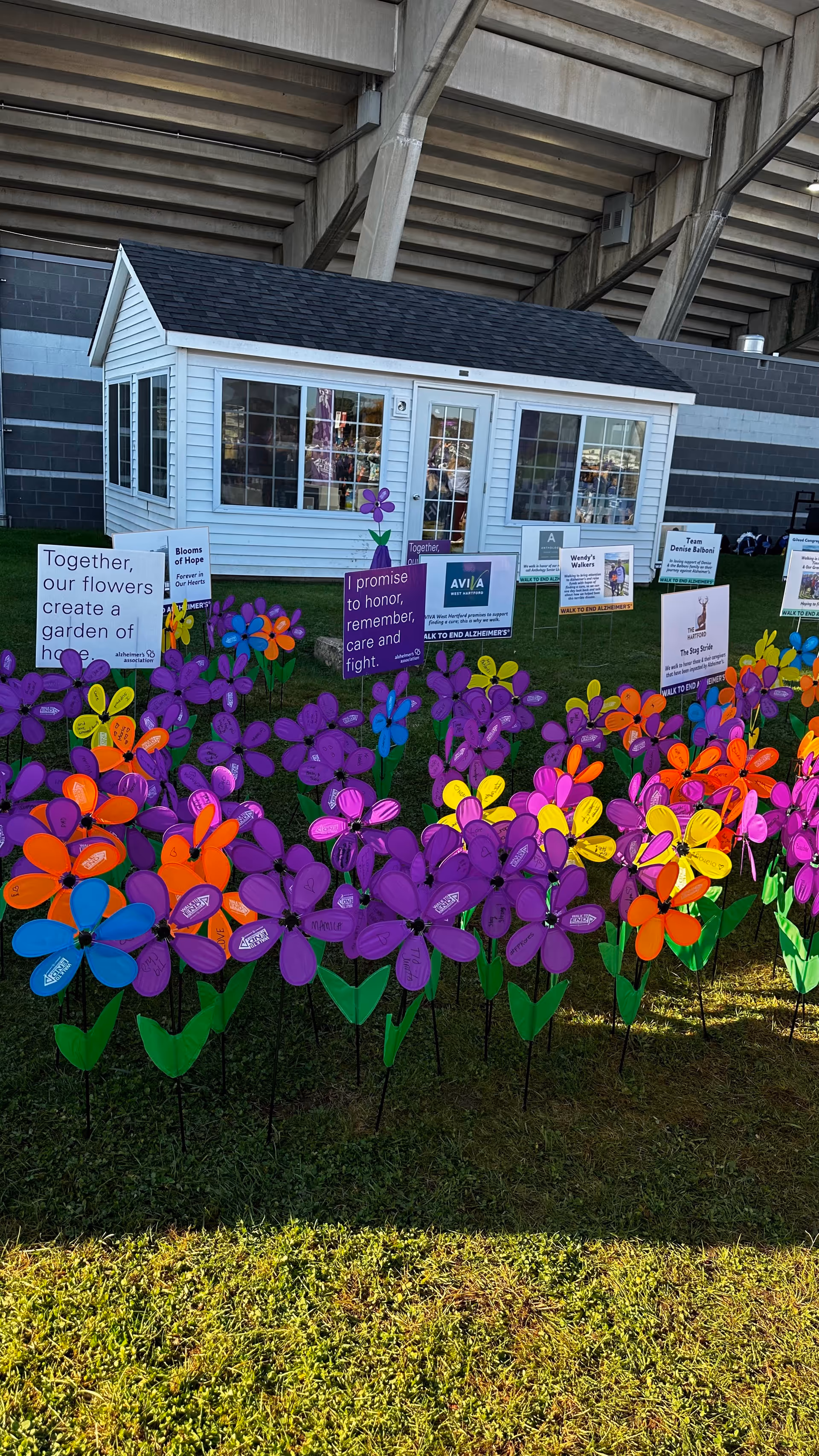 Small white house-like building outdoors with colorful pinwheels and signs