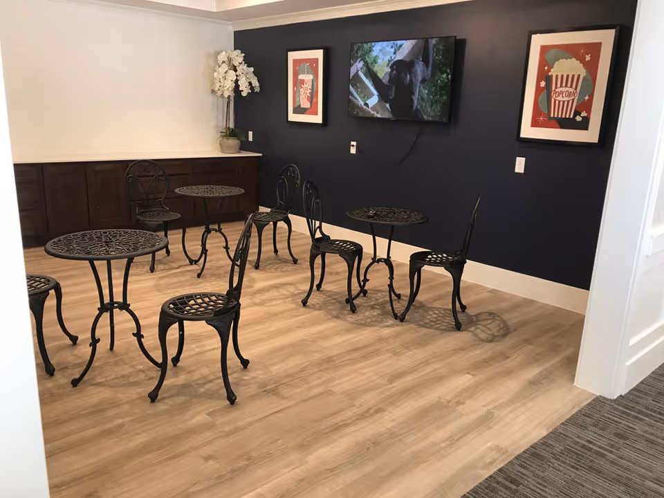 A small seating area with black wrought iron tables and chairs on a light wood floor. The back wall is dark blue with a mounted TV displaying an image of a black dog. Two framed pictures of popcorn and a drink are hung on either side of the TV. There is a white orchid plant on a countertop against a white brick wall in the corner.