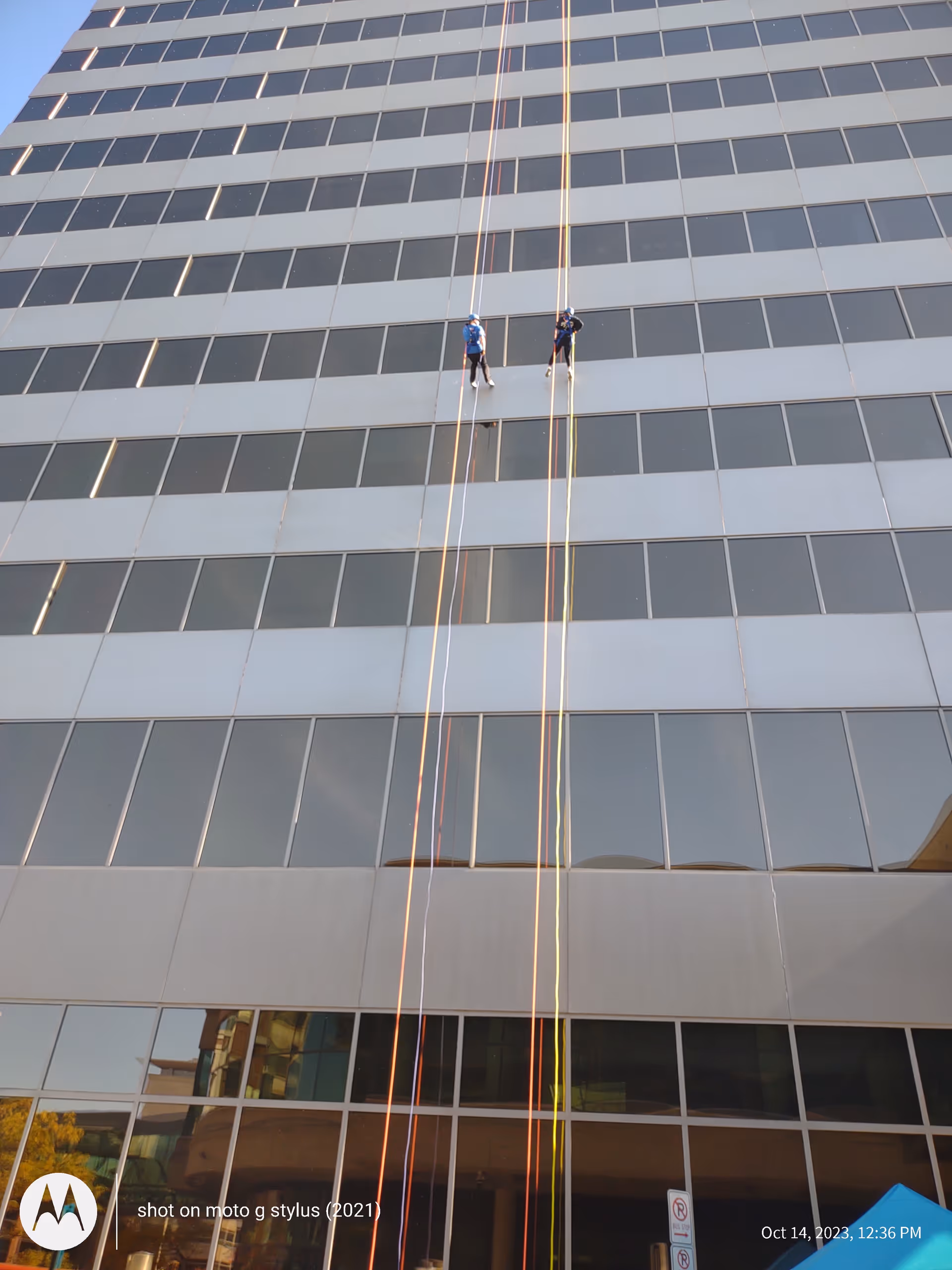 Two workers rappel down the glass facade of a tall modern building.