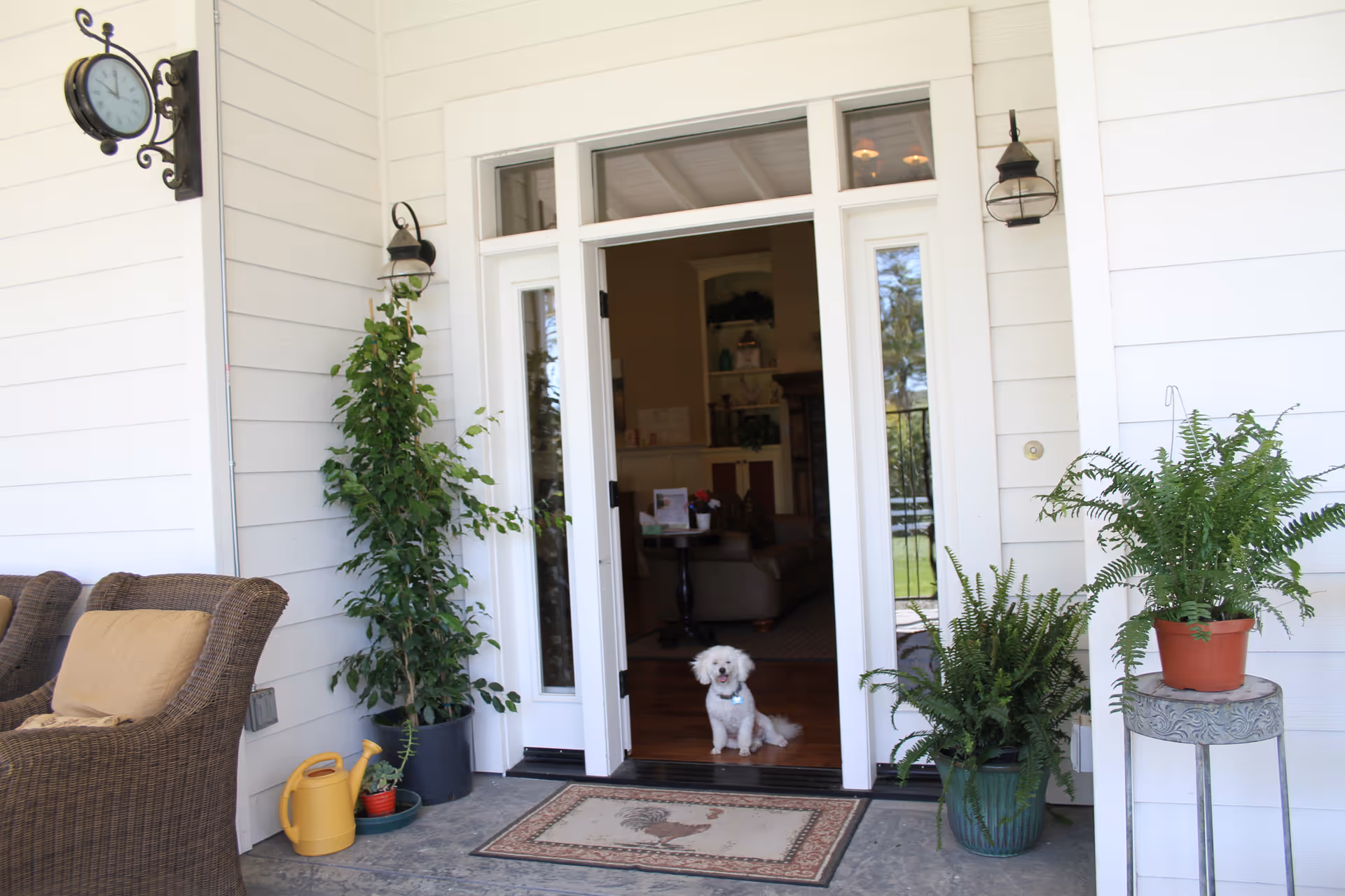Open front porch of a Primrose senior facility with potted plants and a dog at doorway.