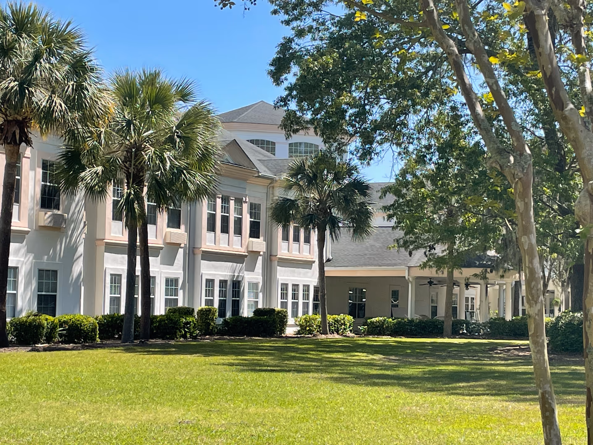 Sunny exterior view of Bloom at Belfair with palm trees and a white facade.