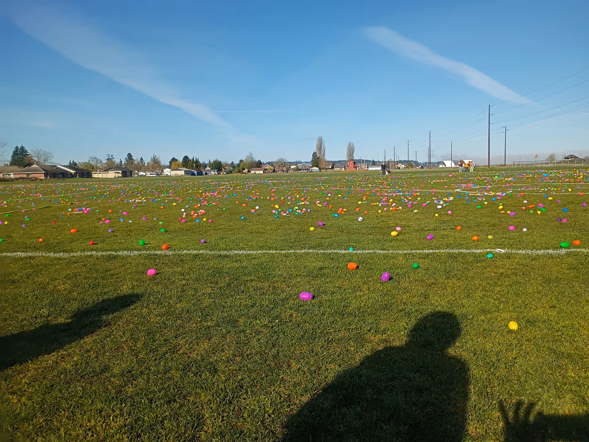 Wide grassy field strewn with colorful eggs, distant houses, and prominent foreground shadows.