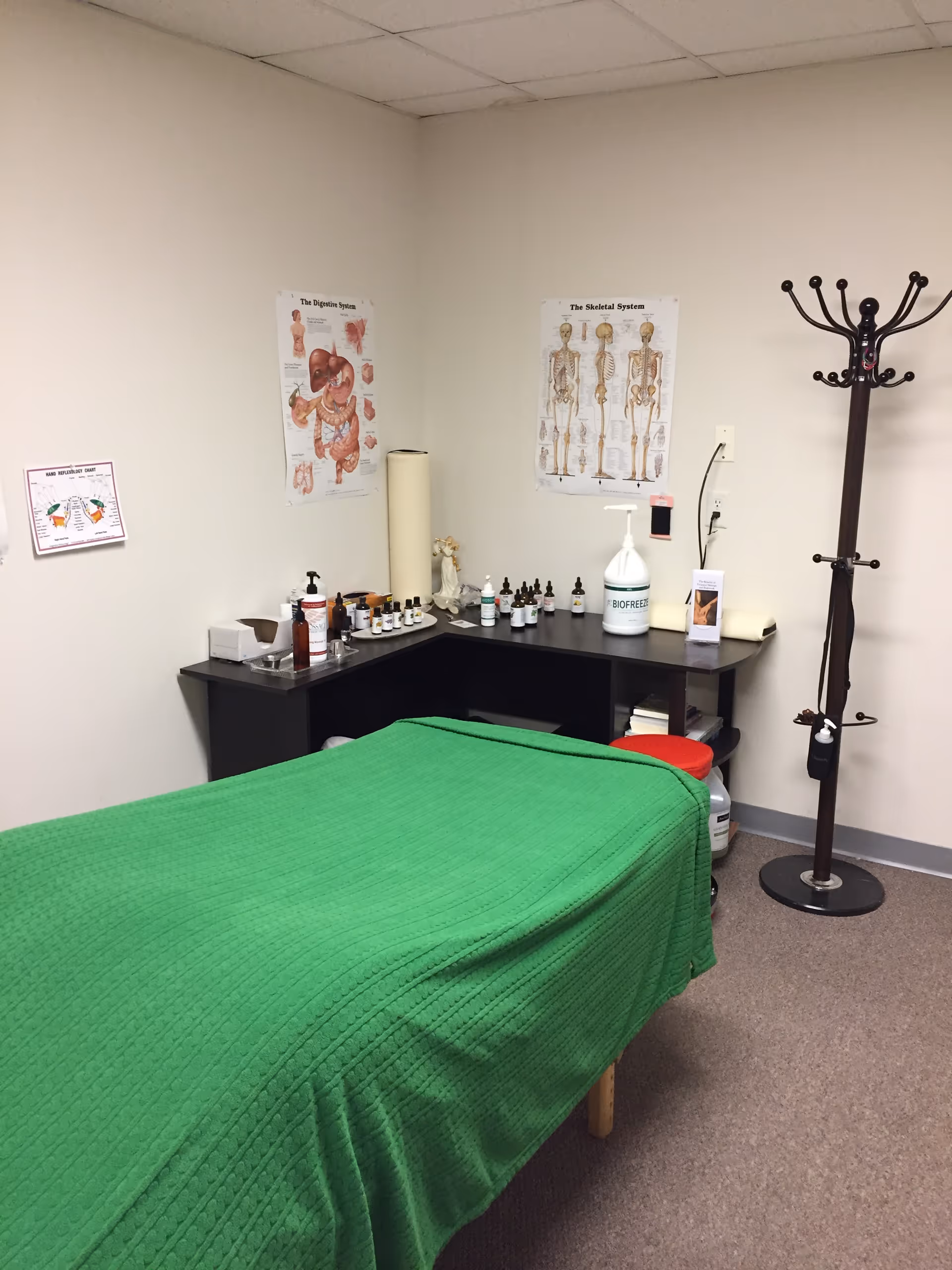 Treatment room with a green massage table and anatomy posters on the wall.