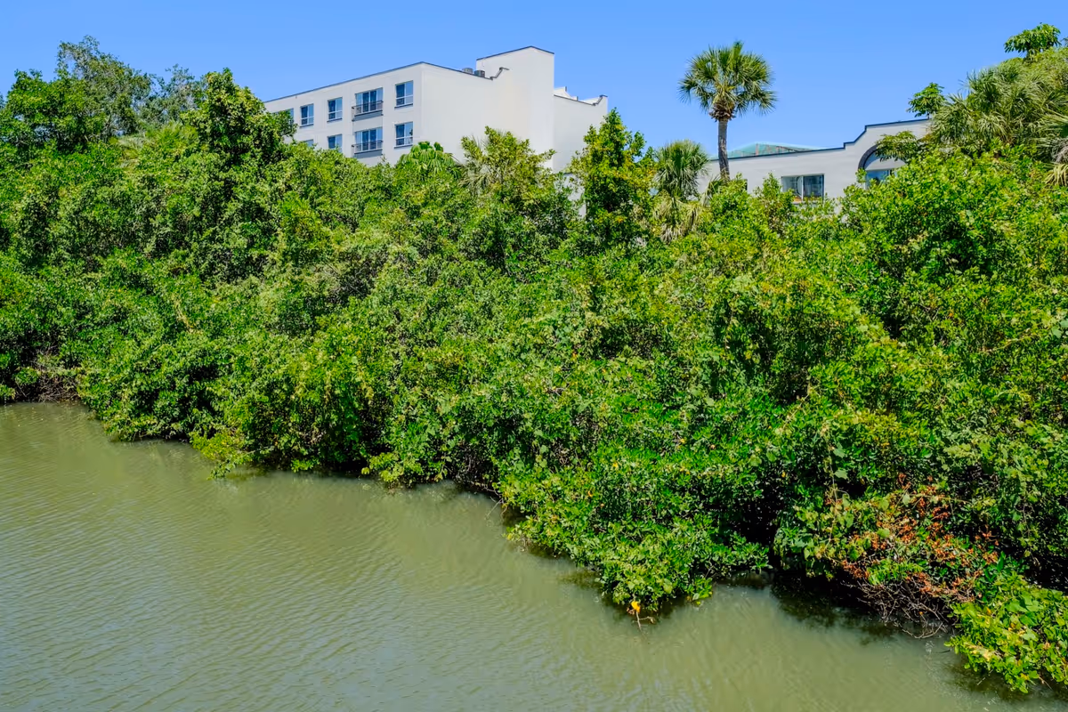 Exterior view of Grand Villa of Sarasota surrounded by lush trees beside a waterway.