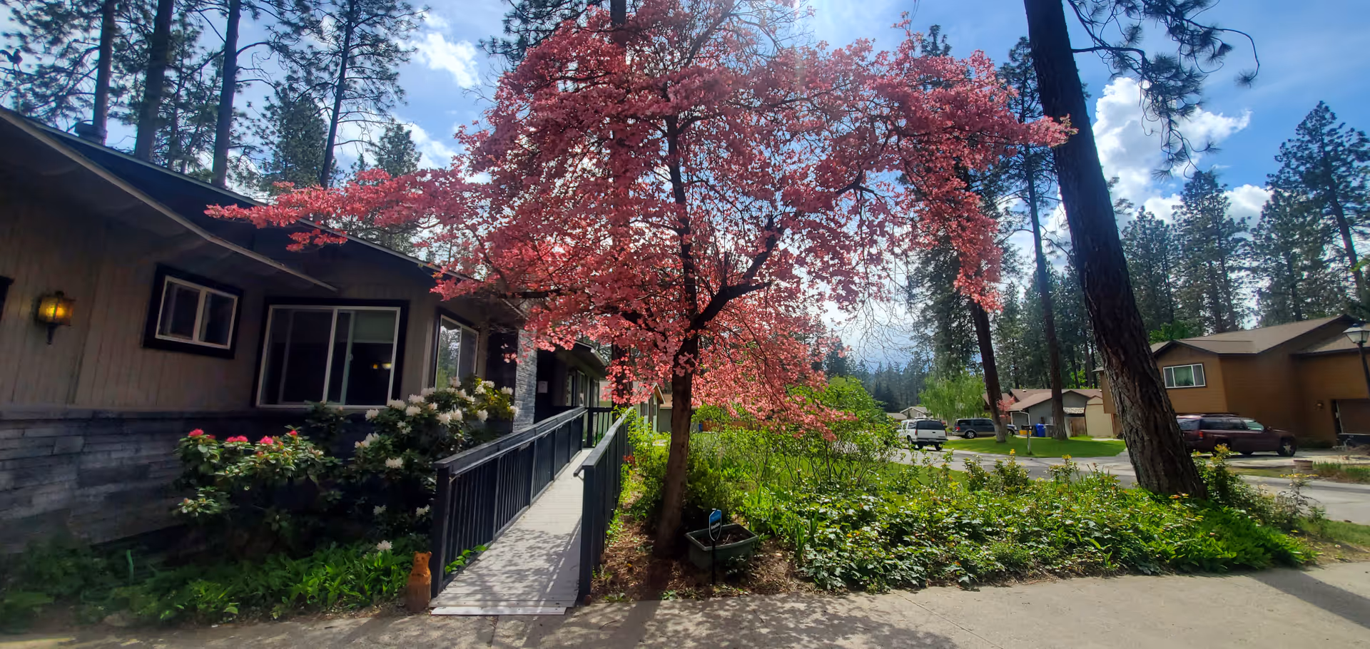 Exterior view of Bethel House LLC adult family home with a ramp, flowering tree, and garden.