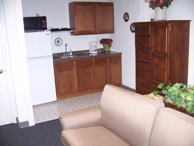 Small living area with a kitchenette (refrigerator, microwave, sink, cabinets), a couch, wooden dresser and potted plants.