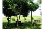 An outdoor grassy area with trees, a picnic table, and benches.