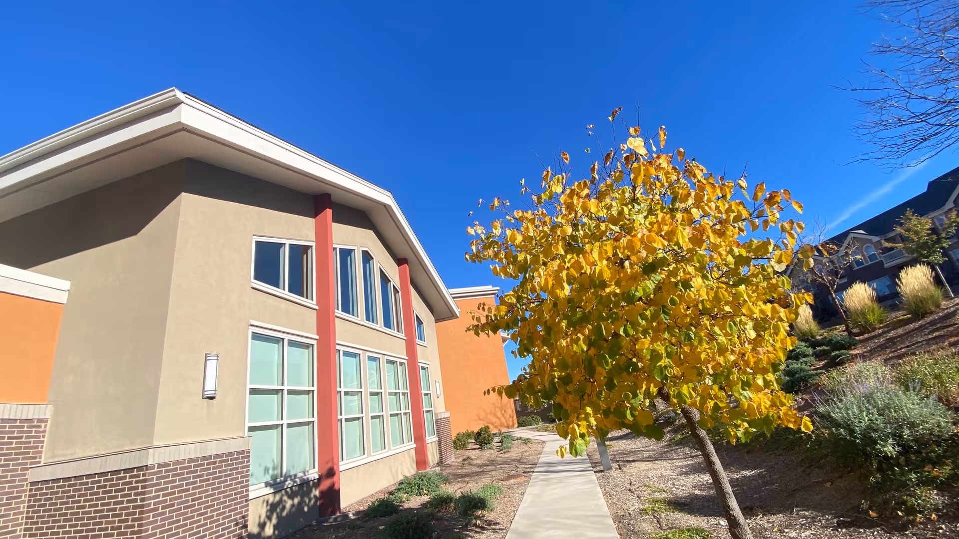 Exterior view of MorningStar Senior Living at RidgeGate with a tree and walkway.