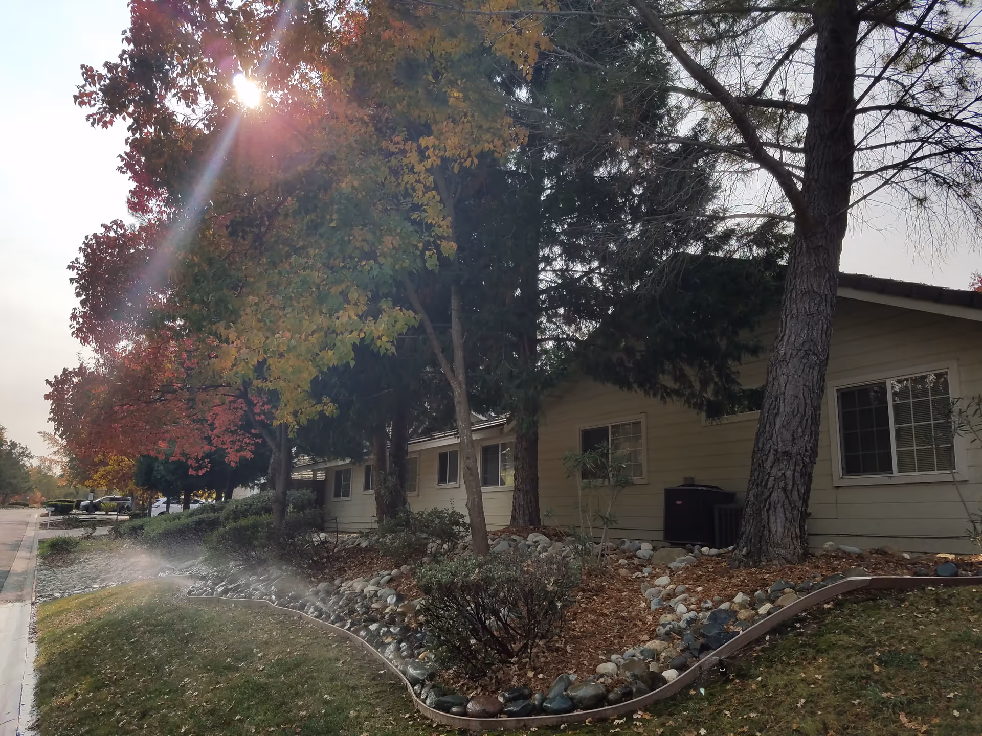 Exterior view of a beige senior care building with trees, rocks, and landscaping along the walkway.