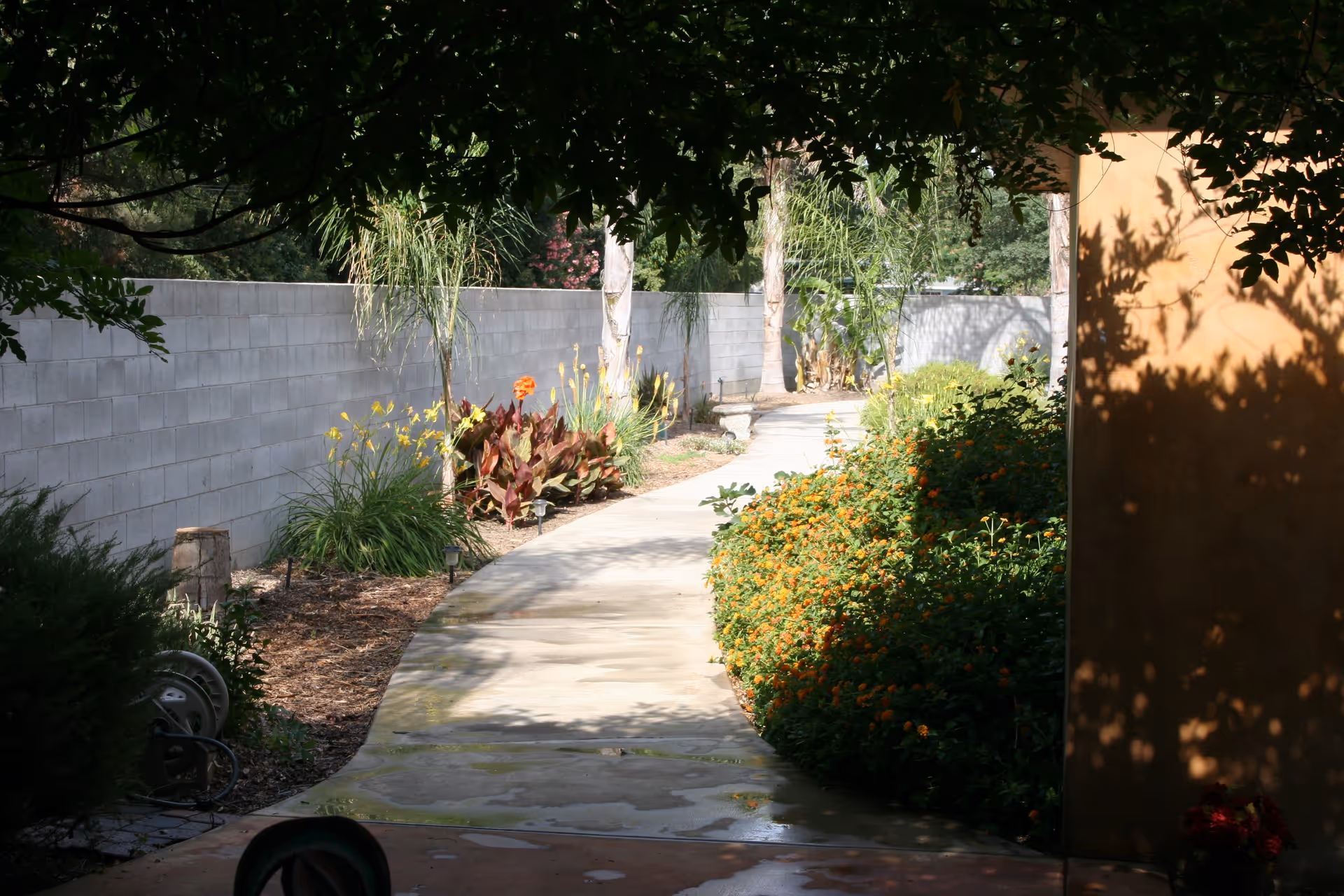 Curved concrete pathway through a landscaped garden with flowering bushes, palm trees, and a cinderblock boundary wall.