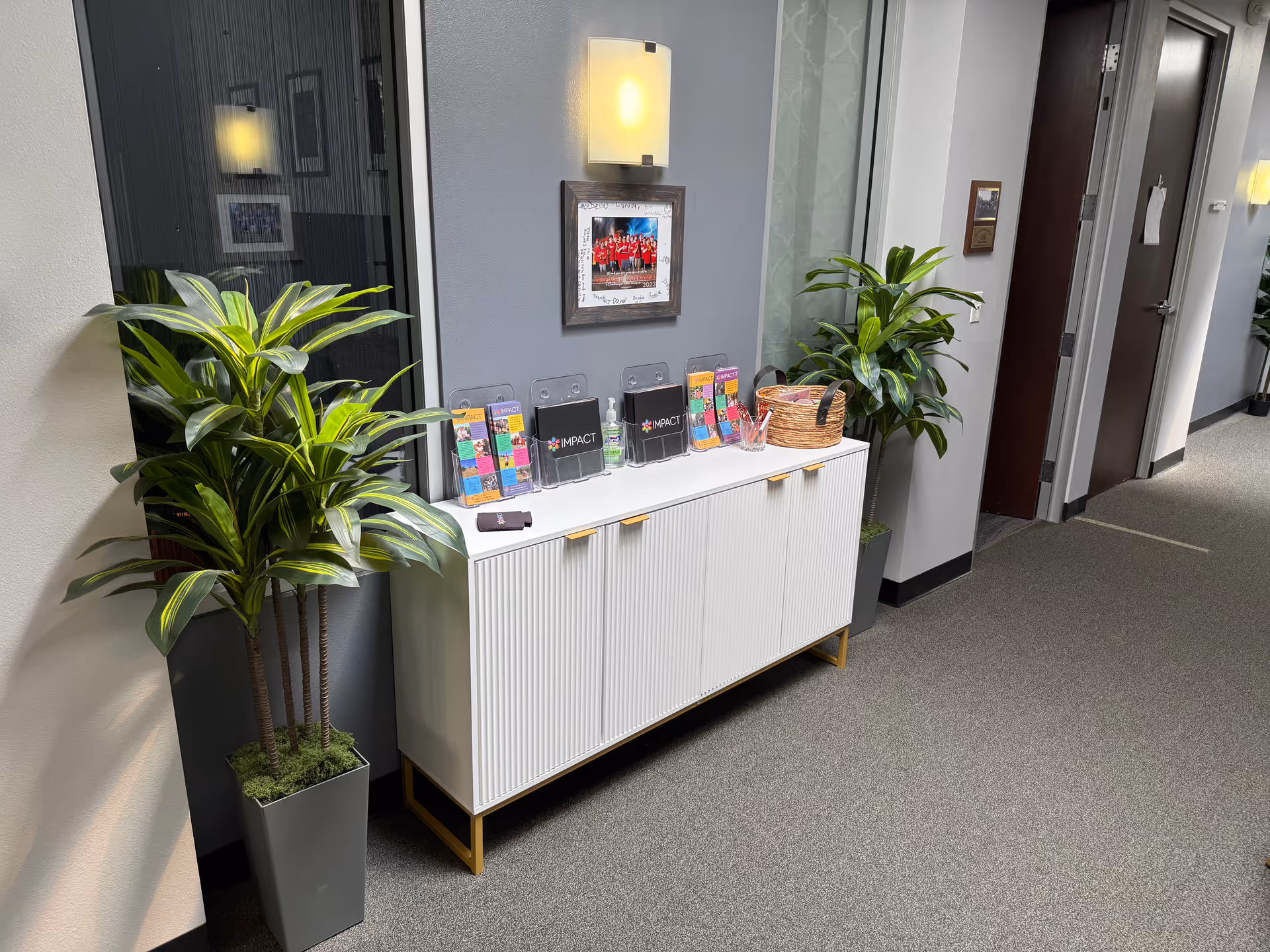 Indoor hallway with a white cabinet, plants, brochures, and framed artwork on the wall.