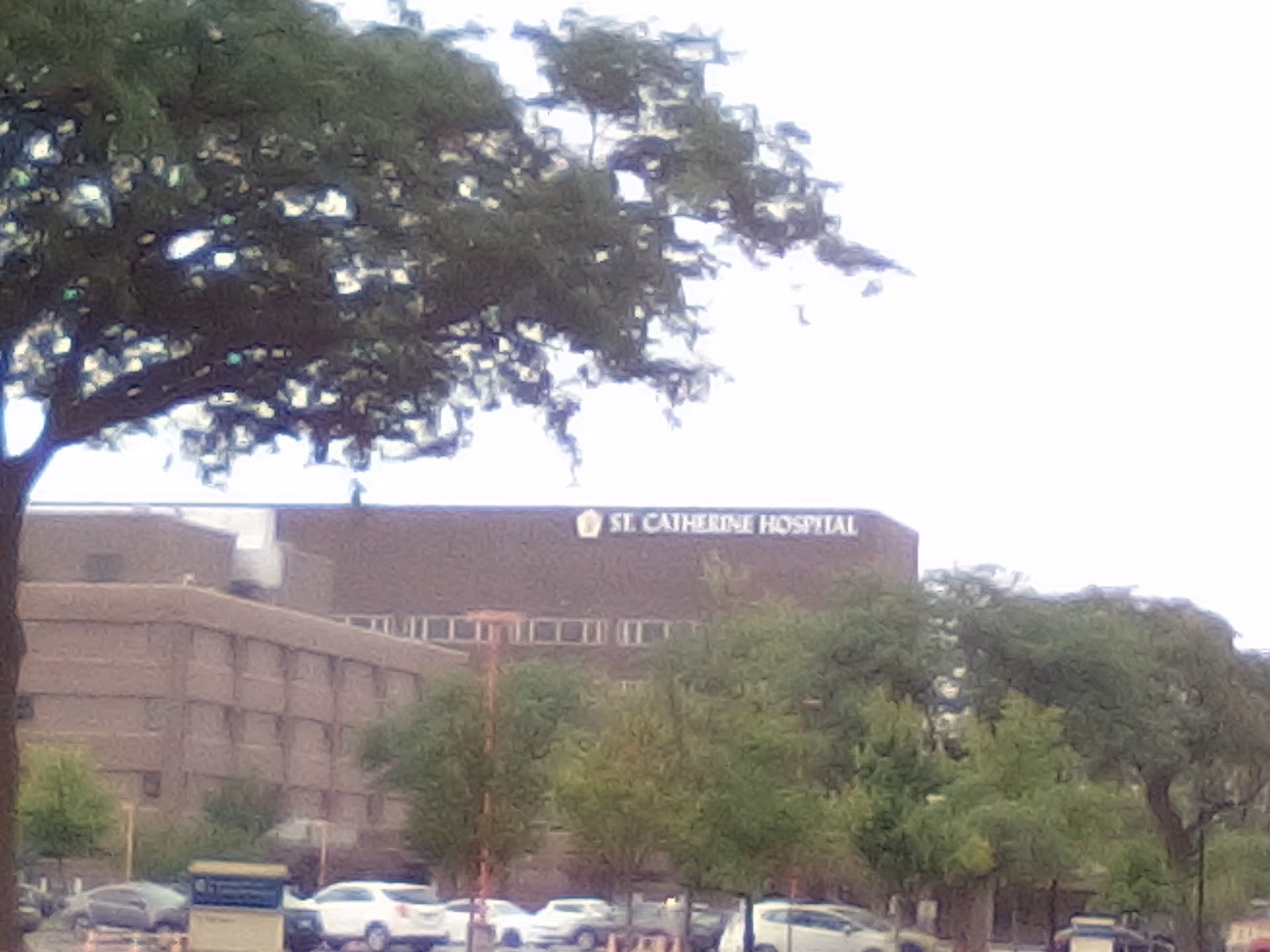 Exterior view of St. Catherine Hospital with trees and parked cars.