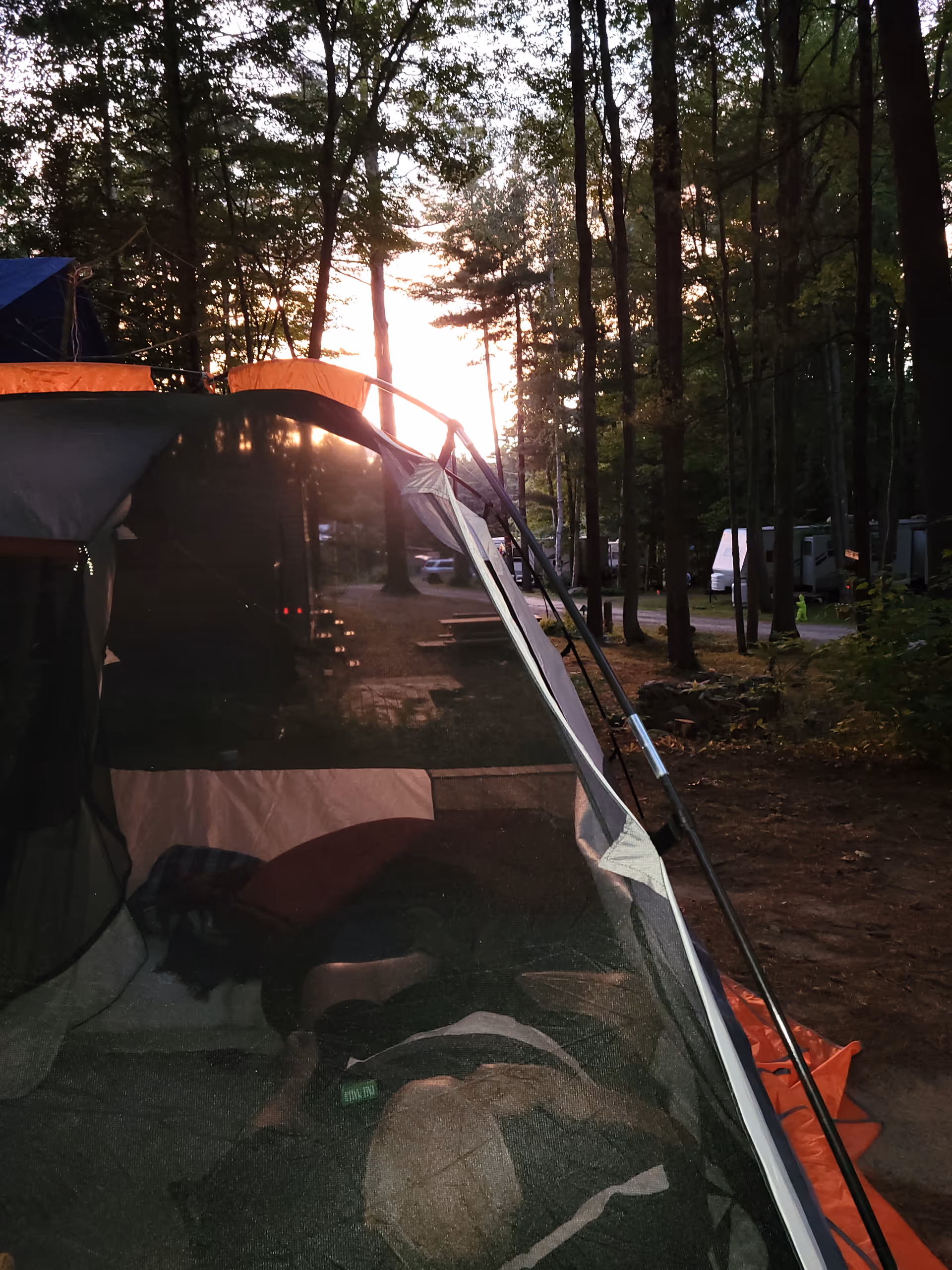 Camping tents set up among trees at a forest campground during sunset.