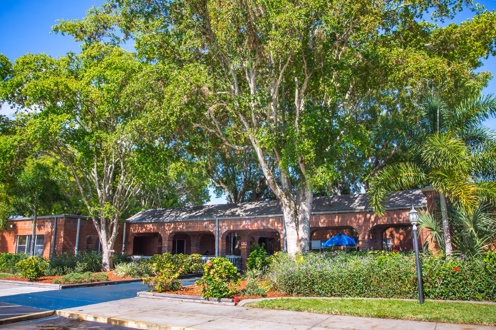 Brick building with arched entrances, large trees, and a landscaped front yard under a blue sky.