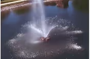 Outdoor fountain sprays water from a small pond in a courtyard.