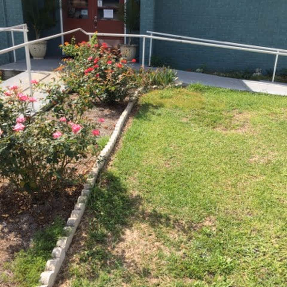 Outdoor garden area with a flower bed containing blooming pink and red flowers bordered by a low stone edging. A concrete walkway with metal handrails leads to a building entrance with double doors in the background.