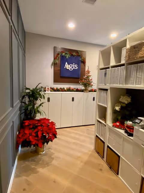 Reception area with cabinets, shelving, festive decorations, poinsettia, and an Aegis sign on the wall.