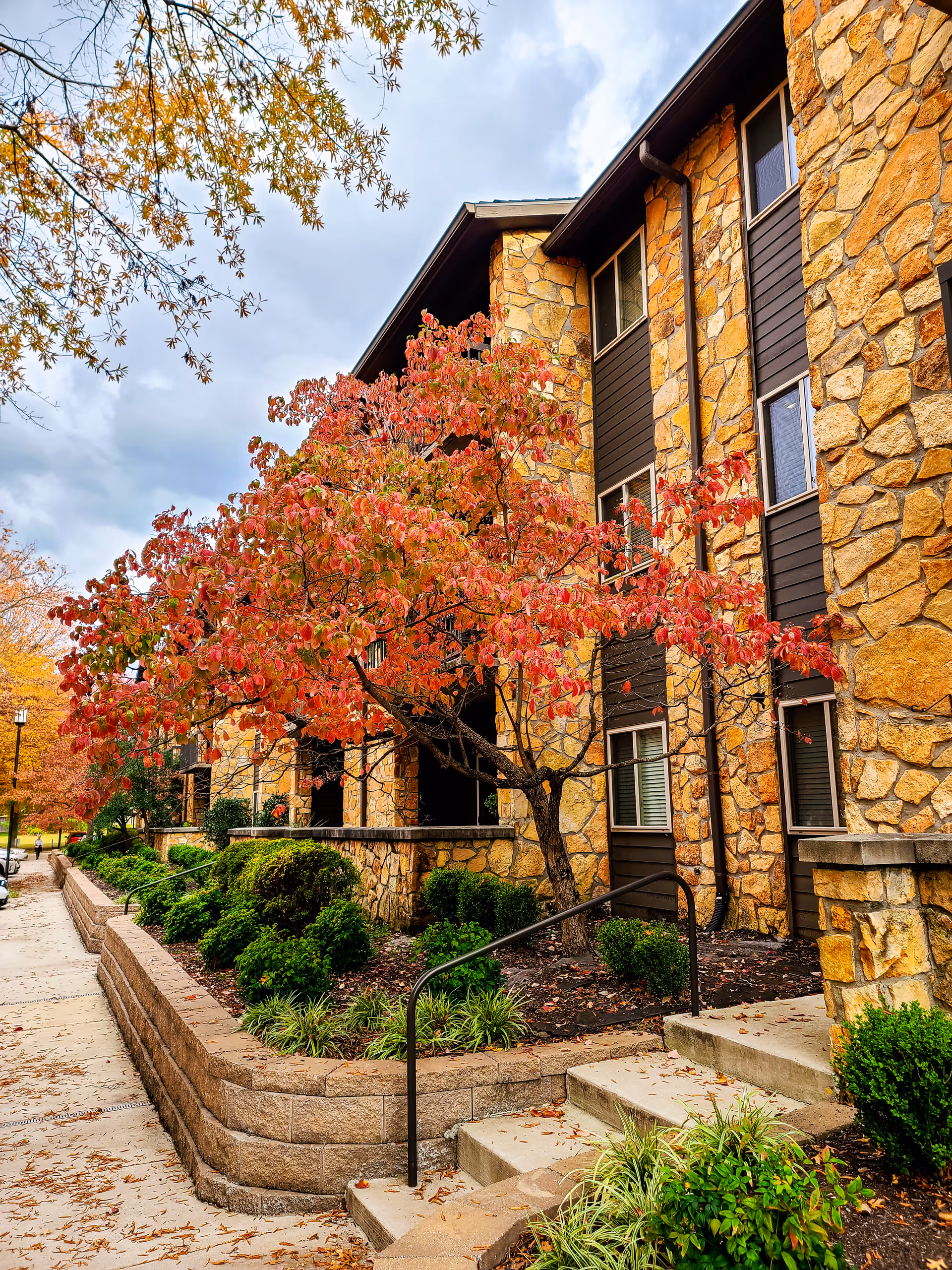 Exterior view of a stone and wood senior living facility building with a tree displaying red and orange autumn leaves in front. There are steps with a handrail leading up to the entrance, surrounded by green shrubs and a sidewalk running alongside the building.