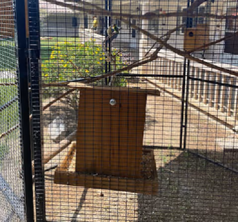 Outdoor courtyard with a wooden birdhouse inside a metal mesh enclosure.
