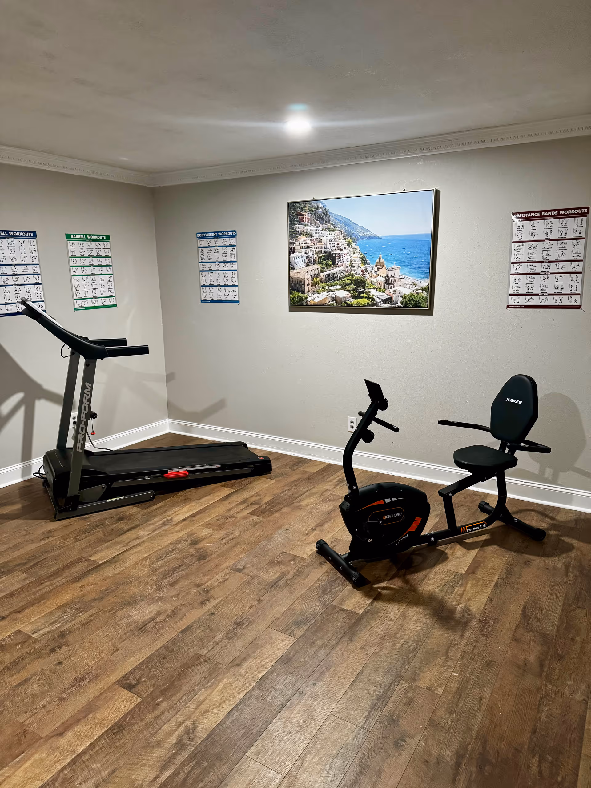 A small in-house gym with treadmill, stationary bike, posters, and wood flooring.