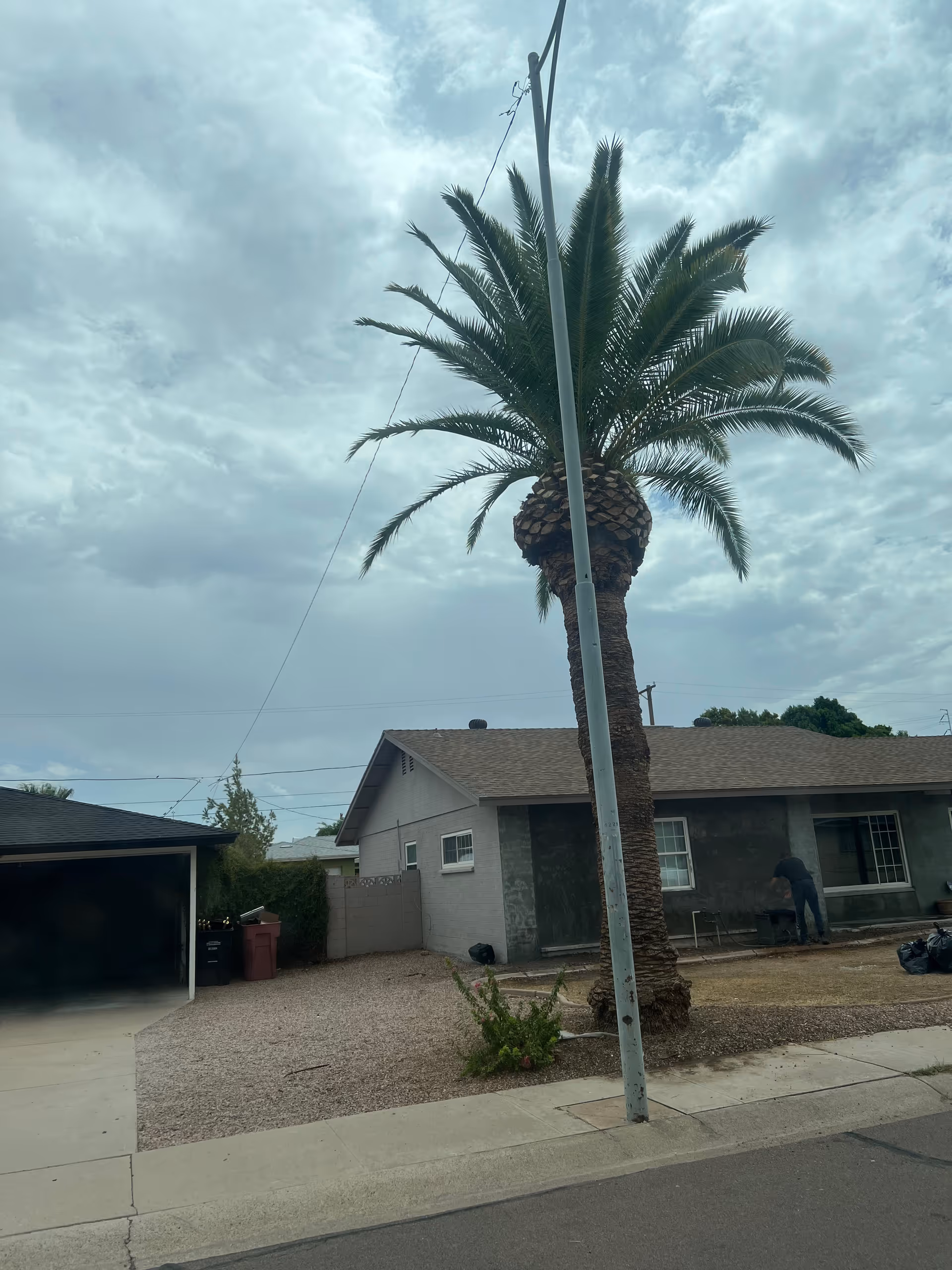 Single-story home with a tall palm tree, gravel yard, and a utility pole on the street.