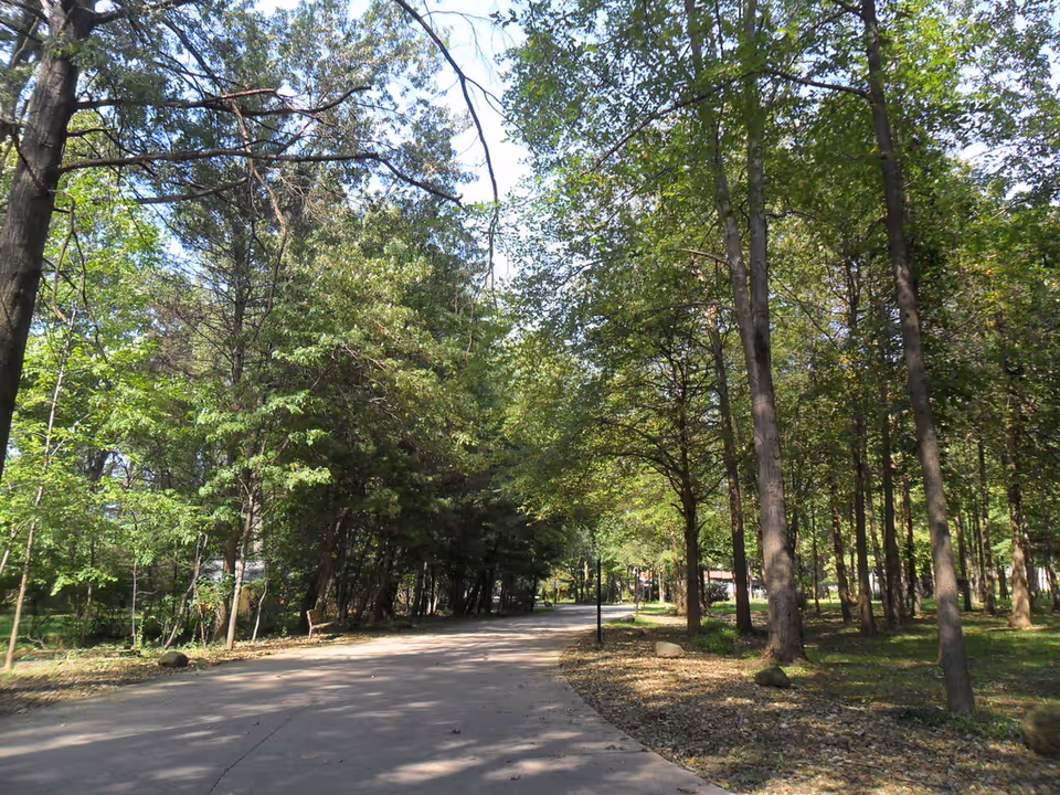 A tree-lined outdoor park path with sunlight filtering through green foliage.