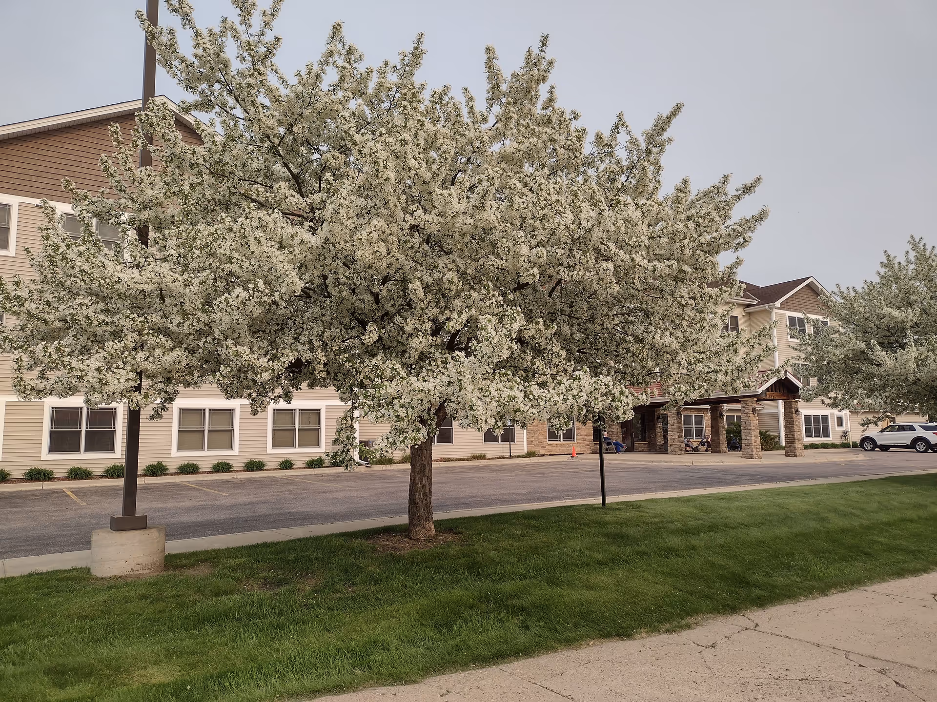 Front view of Crystal Seasons Living Center with blooming tree, parking, and entrance.