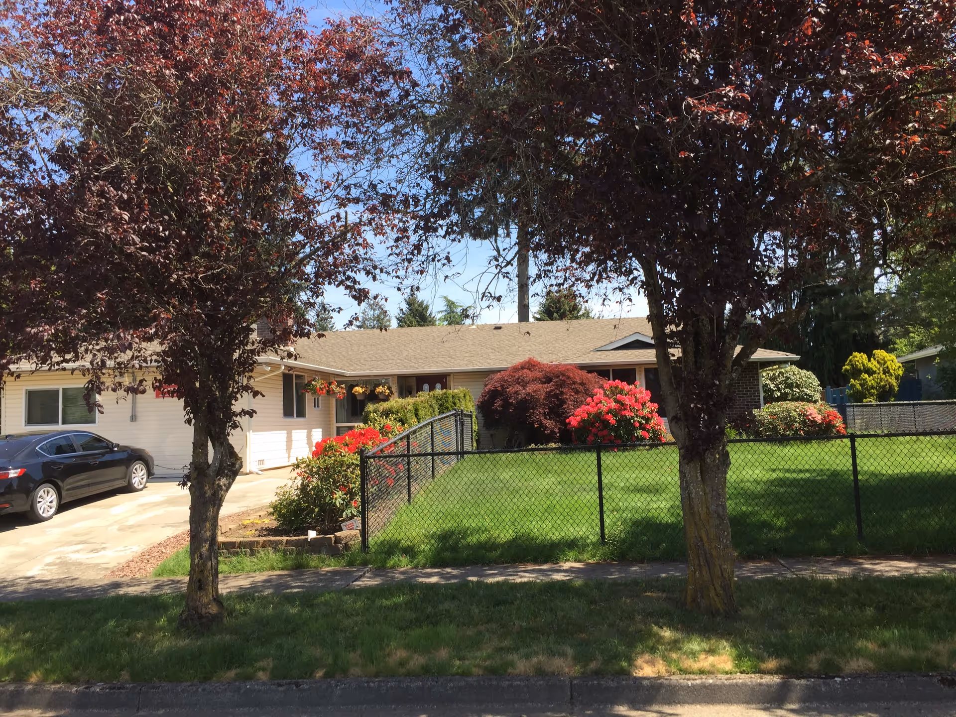 Single-story residential building with a manicured front lawn, flowering shrubs, two trees, and a parked car in the driveway.