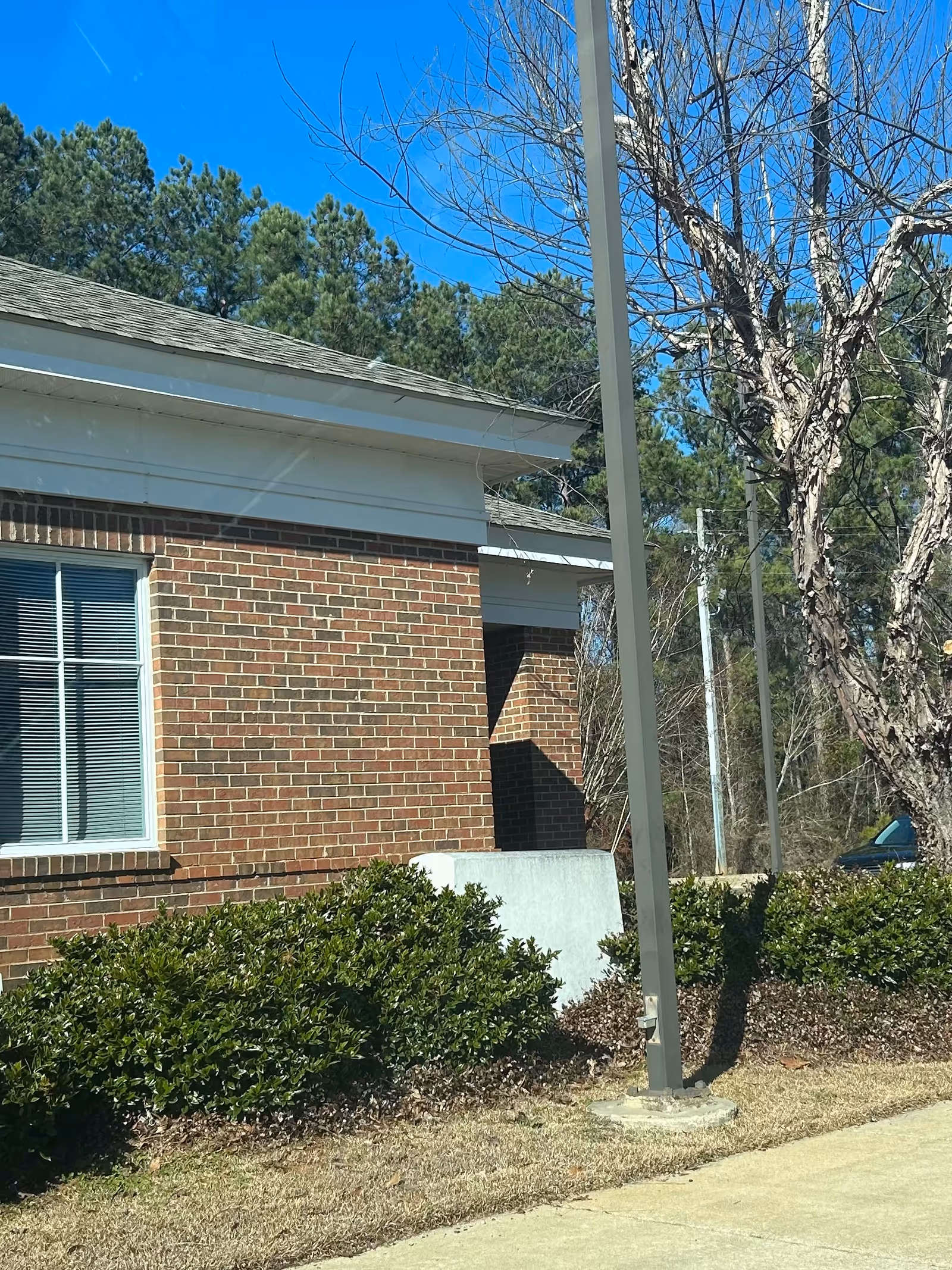 Brick building exterior with a window, hedges, trees, and a streetlight.