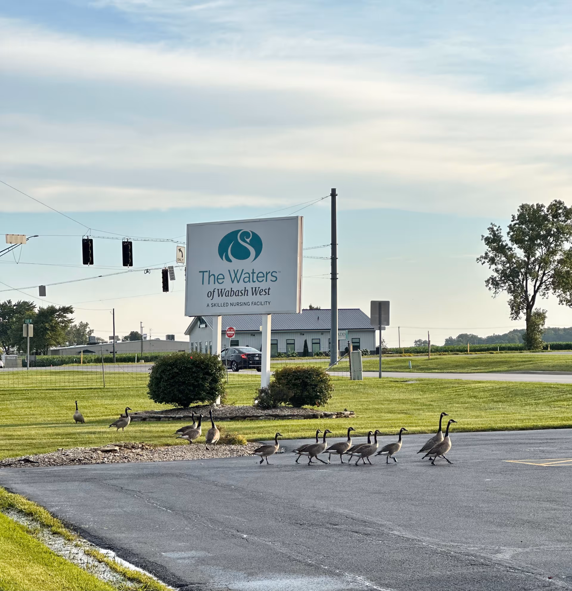 Exterior view of The Waters of Wabash sign in a parking lot with geese.