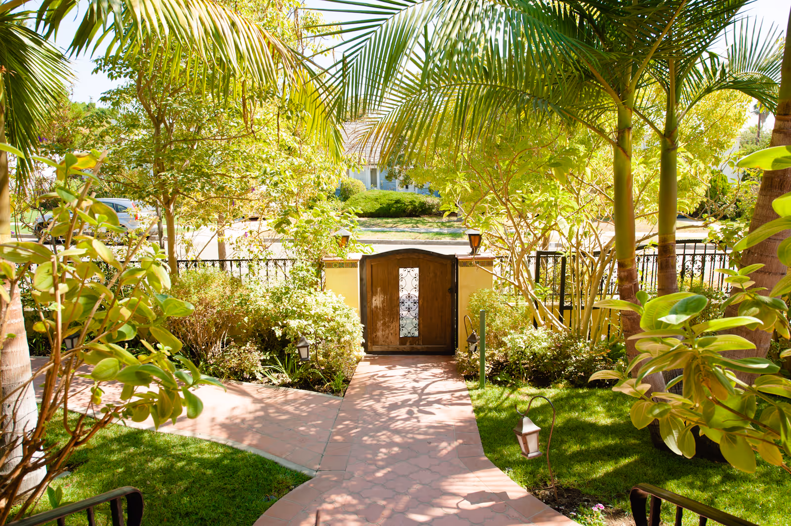 Sunny garden courtyard with palm trees, lush plants, and a brick walkway to a wooden gate.