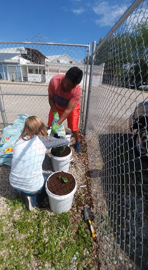 Two people garden outside by a chain-link fence, planting seedlings in white buckets.