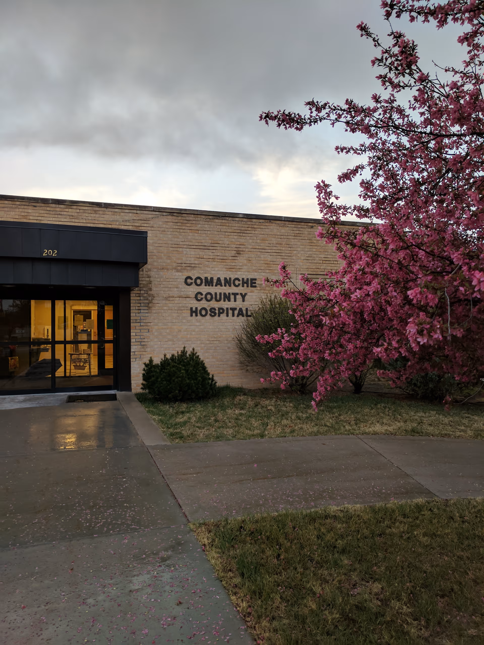 Brick hospital facade with glass entrance and pink flowering tree beside walkway.
