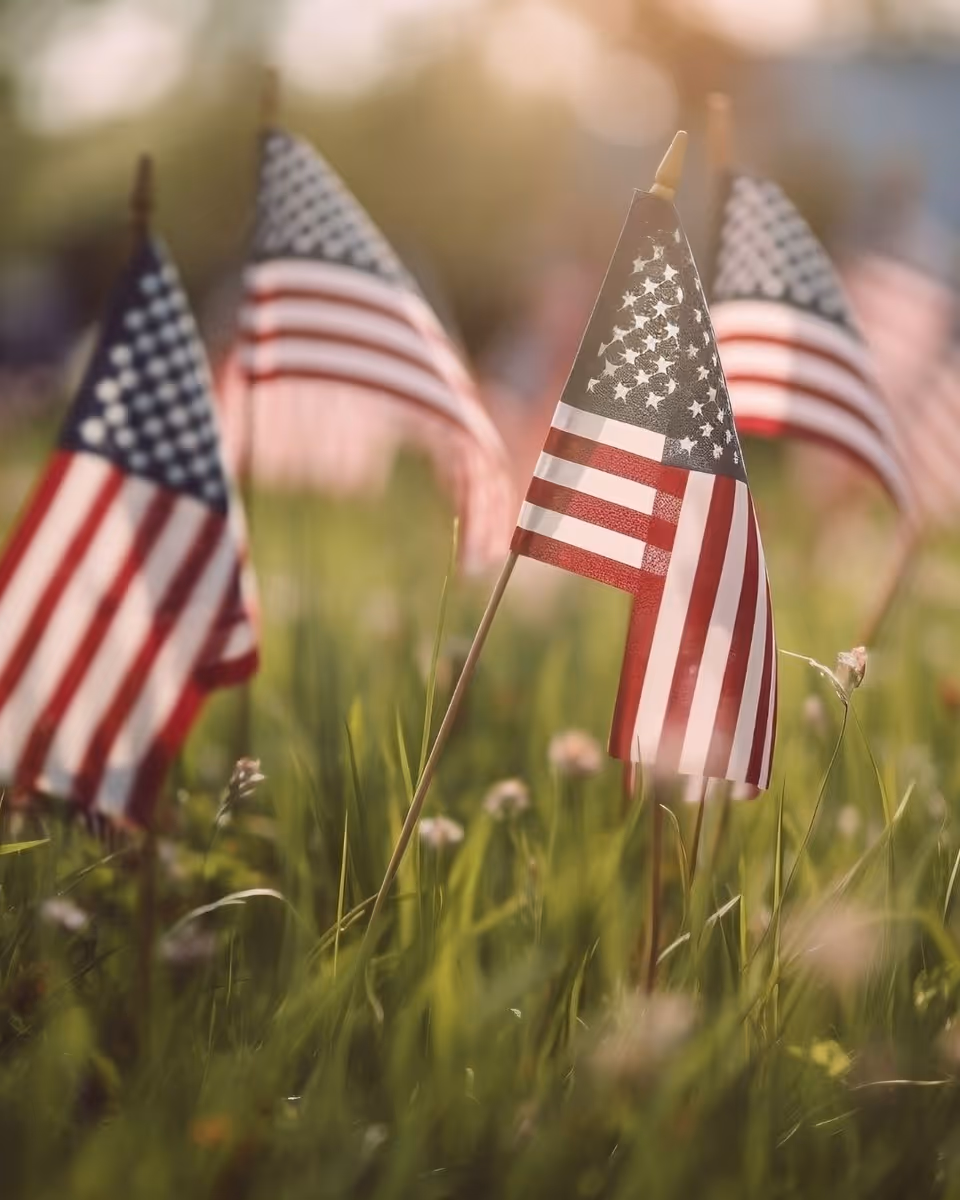 Several small American flags placed in the grass with sunlight softly illuminating the scene, creating a warm and peaceful atmosphere.