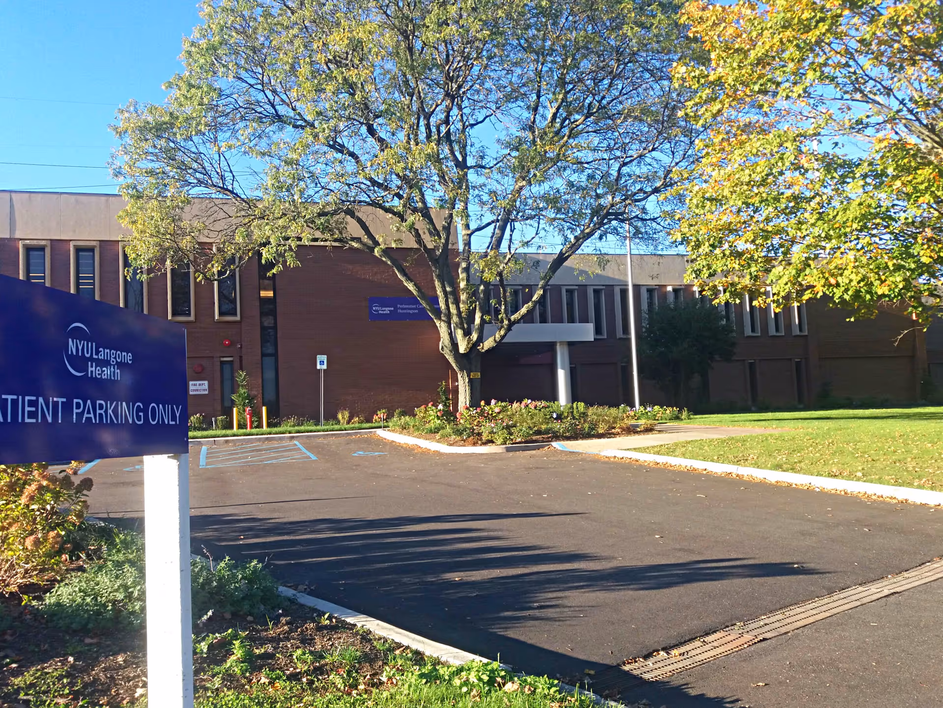 Exterior view of a brick medical building with a large tree and parking lot